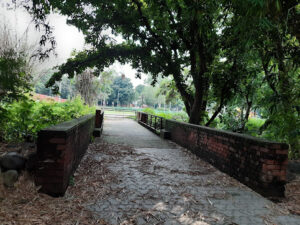 20200815 162304 Bamboo India