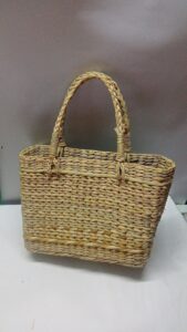 2021 12 09 Bamboo India