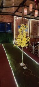 2022 01 17 Bamboo India