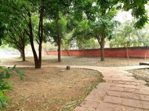 2022 02 02 1 Bamboo India