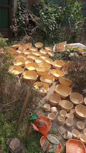 2022 03 27 Bamboo India