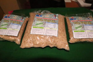 2022 05 18 1 Bamboo India