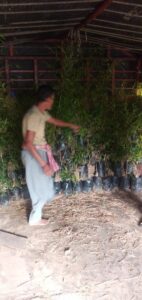 2023 01 15 1 Bamboo India