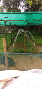 2023 01 15 2 Bamboo India