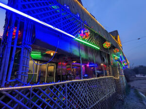 2023 03 14 Bamboo India