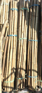 2023 03 18 Bamboo India