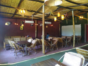 2023 04 29 2 Bamboo India