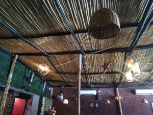 2023 04 29 3 Bamboo India