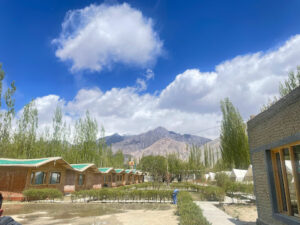 2023 06 18 Bamboo India