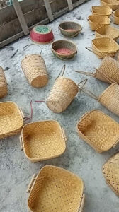 2023 08 05 1 Bamboo India