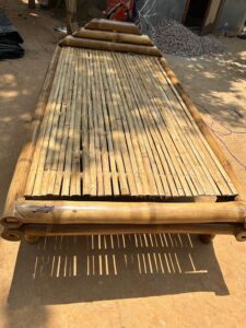 2023 10 03 1 Bamboo India