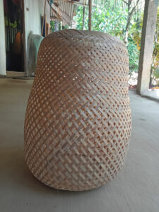 2024 01 13 6 Bamboo India