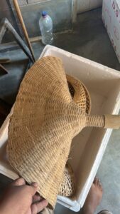 2024 01 13 7 Bamboo India