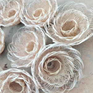 2024 01 20 Bamboo India