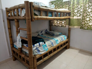 2024 01 29 Bamboo India