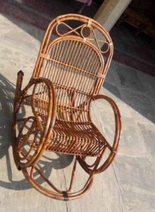 2024 02 09 1 Bamboo India