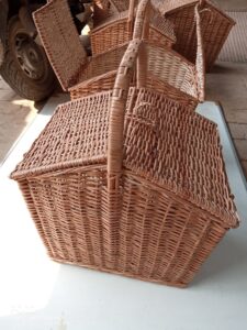 2024 03 08 Bamboo India