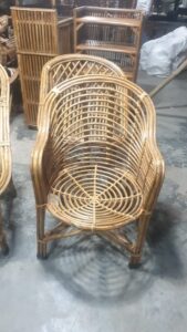 2024 08 24 3 Bamboo India