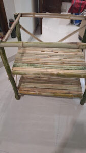 2024 12 11 Bamboo India