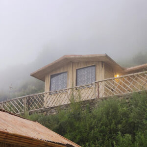 2024 12 21 2 Bamboo India