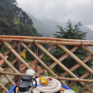 2024 12 21 Bamboo India