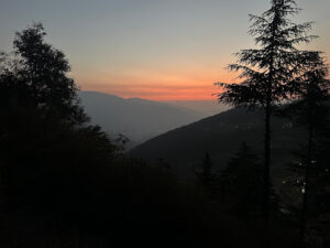 2025 01 06 1 Bamboo India