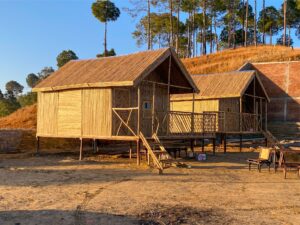 Banner 2 Bamboo India