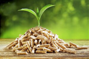 CD 1525674195879 Bamboo India