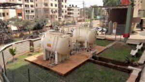 CD 1561724208498 Bamboo India