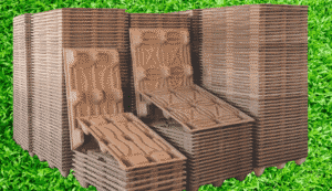 CD 1600085030242 Bamboo India