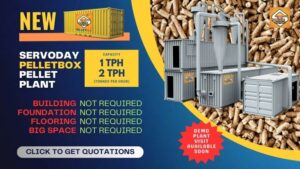 CD 1721565596711 Bamboo India