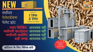 CD 1721565596712 Bamboo India