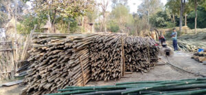 IMG 20211230 WA0003 Bamboo India