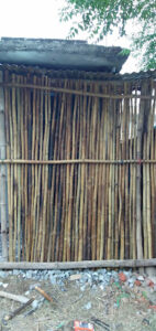 IMG20190519191325 Bamboo India