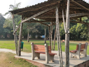 IMG 20171231 104726 Bamboo India