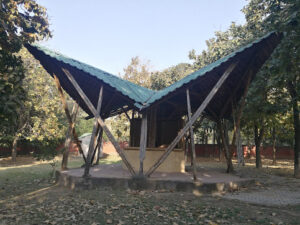 IMG 20180325 165838 Bamboo India