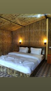 IMG 20210618 192922 581 Bamboo India