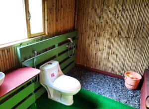 Screenshot 20210620 1358112 Bamboo India