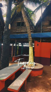 Snapchat 755991673 Bamboo India