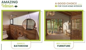 shillong bamboo 10 Bamboo India