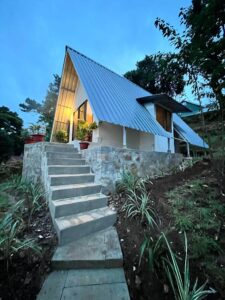 shillong bamboo 11 Bamboo India