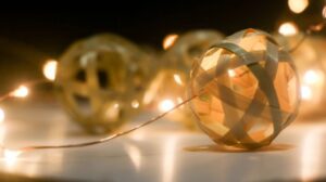 shillong bamboo 12 Bamboo India