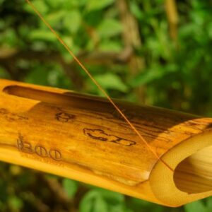 shillong bamboo 13 Bamboo India