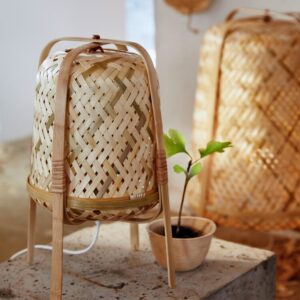 shillong bamboo 17 Bamboo India