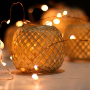 shillong bamboo 19 Bamboo India