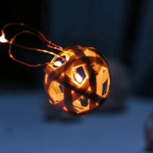 shillong bamboo 24 Bamboo India