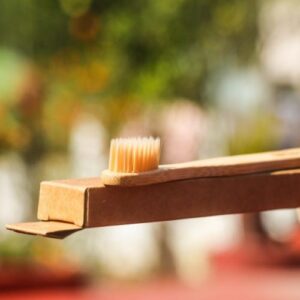 shillong bamboo 30 Bamboo India