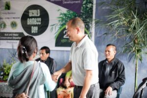 shillong bamboo 6 Bamboo India