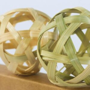 shillong bamboo 7 Bamboo India