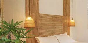 shillongbamboo 01 Bamboo India